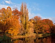 Rijstenborgherpark, Deventer  (c) Henk Melenhorst : Herfst